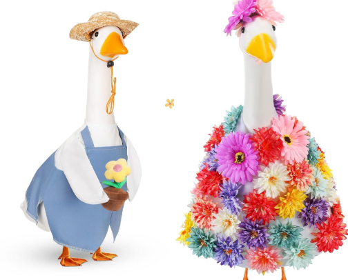 Best Dressed Goose on the Block cover photo collage