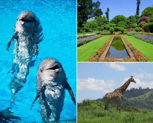 Adventure Awaits: Your Next Epic Escape Starts Here! cover photo collage