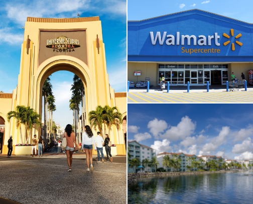 Fun in the Sunshine State 🐬 - Florida cover photo collage