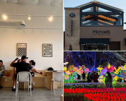 Moments in LA ☀️ cover photo collage