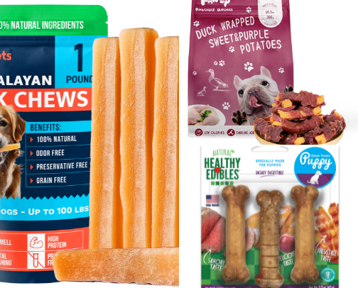 Pet Supplies cover photo collage