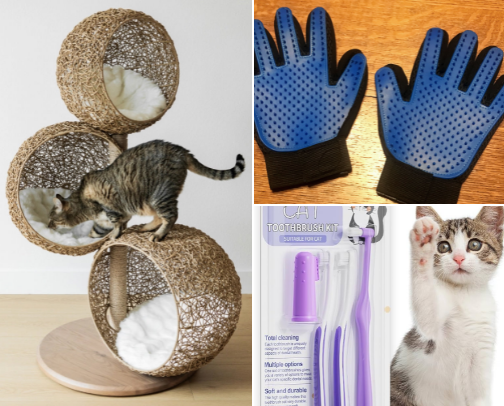 Cat Essentials cover photo collage