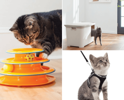 A bit of everything for your cat 🐈‍⬛ 🐾 cover photo collage