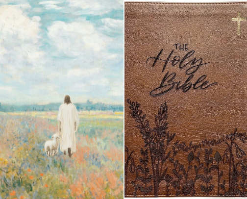 bible journaling must haves 💫 cover photo collage