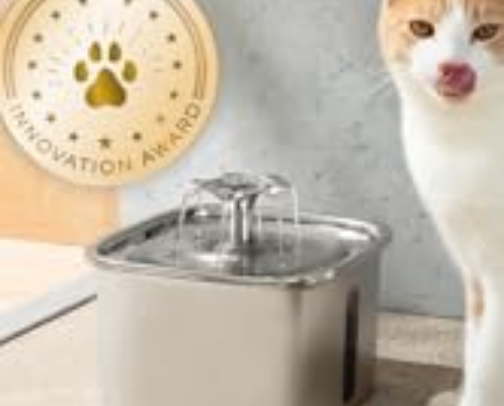 Important pet supplies cover photo collage