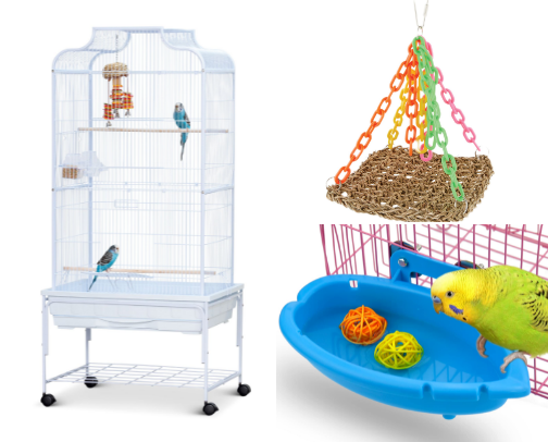 Small parrot supplies cover photo collage