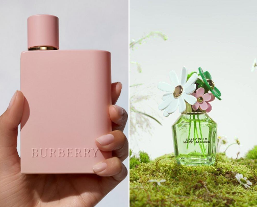 Everyday Scents That Feel Like You cover photo collage
