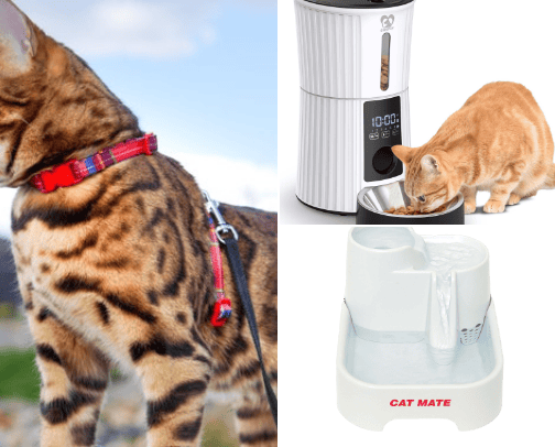 Pet Accessories cover photo collage