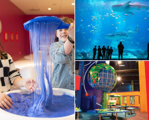 Best U.S. Cities to Travel with Kids cover photo collage