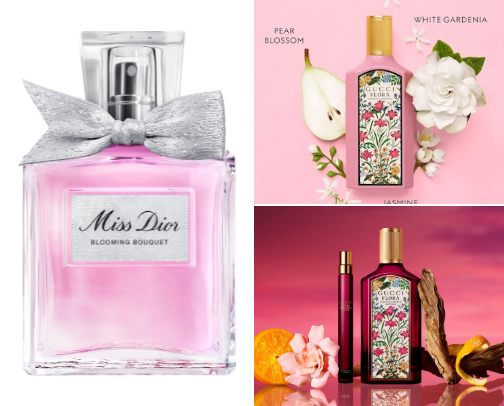 Fragrances to Obsess Over cover photo collage