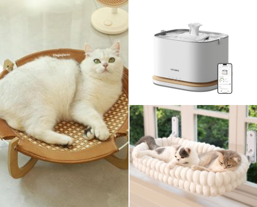 Spoiled Indoor Cat Essentials ⋆˚🐾˖° cover photo collage