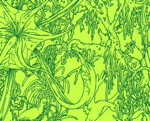 Book series where I made it past the first book cover photo collage