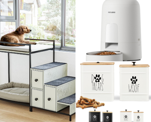 Dogs Needs and Wants! 🦮🐾 cover photo collage