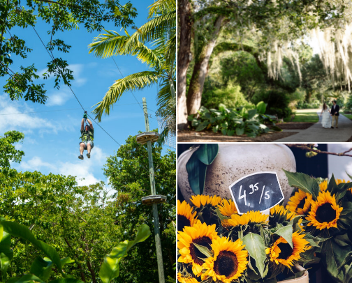 Things to do in Miami cover photo collage