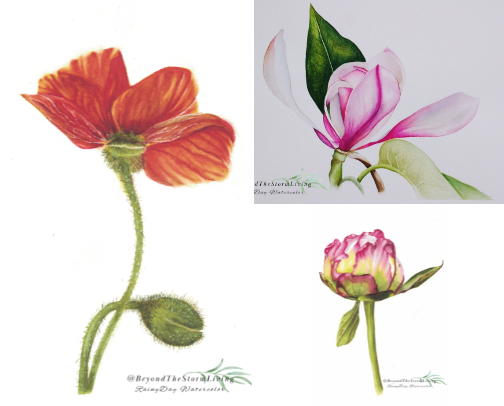 FREE WATERCOLOR TUTORIALS from artists I love cover photo collage