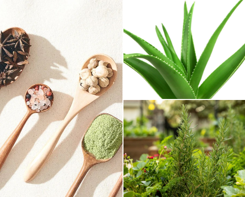 Natural remedies for a healthy life cover photo collage