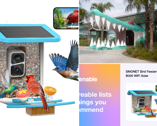 Fun & Fantastic! cover photo collage
