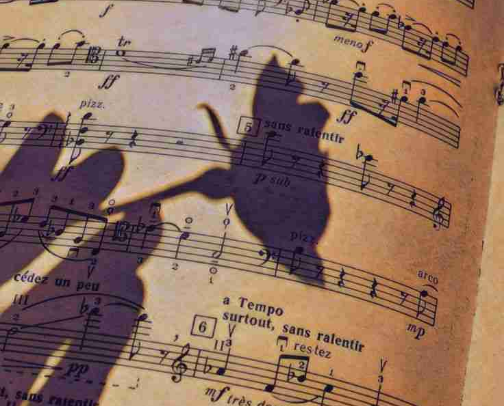 Cozy Artists (Music) cover photo collage