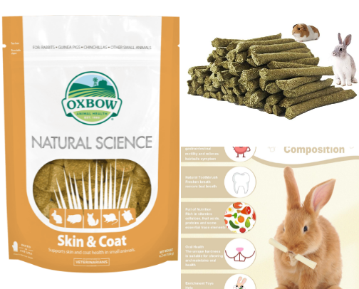 Guinea Pig must haves (approved by Basil, Penny, & Mabel) cover photo collage