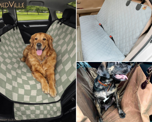 Road Trips With My Dog Were a Nightmare Until I Found These cover photo collage