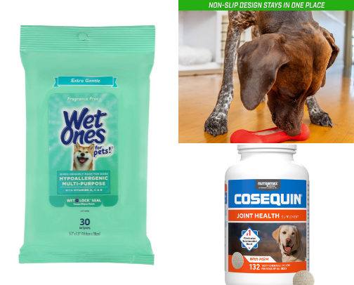 🐶 Everything Your Pet Needs 🐶
Food, beds, treats & toys. cover photo collage