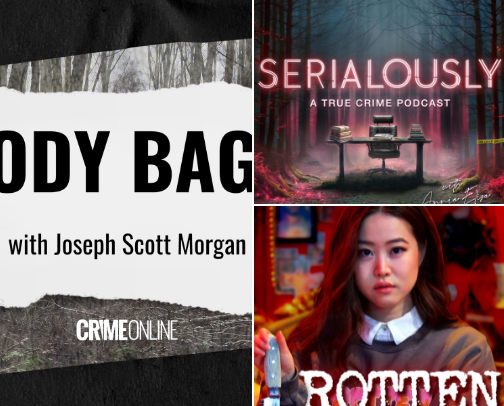 Crime stories we love to hate cover photo collage