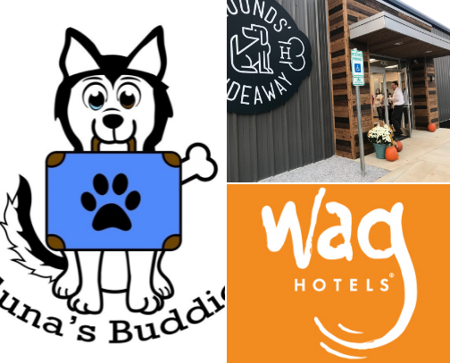 Dog boarding cover photo collage