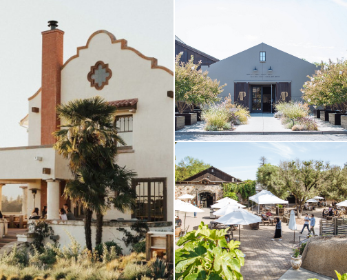 Favorite Dog Friendly wineries cover photo collage