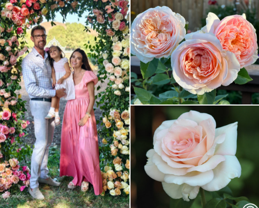 Roses & Gardening cover photo collage