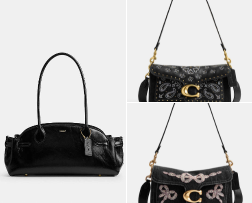 👜Coach bag for all occasions!! cover photo collage