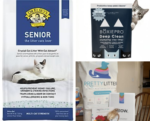 our cats top chewy picks cover photo collage