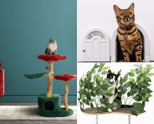 Cat Furniture cover photo collage