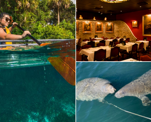 Florida trip must do cover photo collage