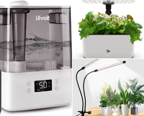 🌿 Indoor Plant Care Favorites cover photo collage