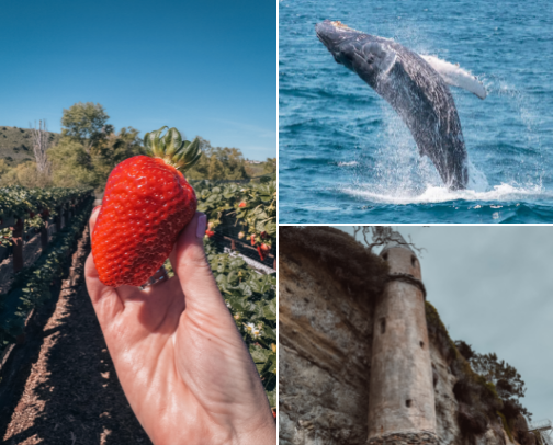 Best Outdoor Activities in Orange County, CA cover photo collage