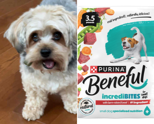 Pet Essentials🐶🫶🏽 cover photo collage