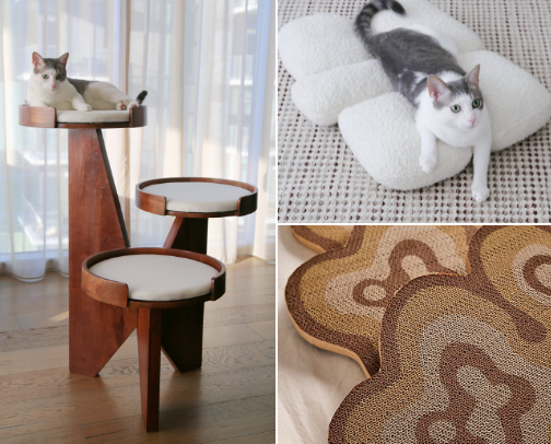 Furniture for the cats cover photo collage