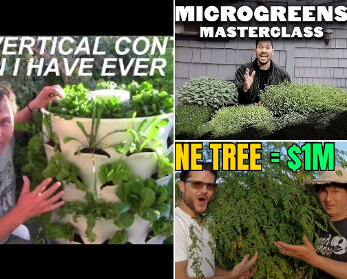 Best Gardening Info, Videos, Sites cover photo collage