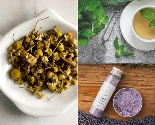 Herbal Medicine cover photo collage