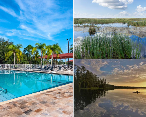 My Top Lake County Florida Recs cover photo collage