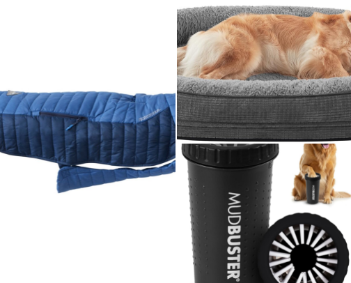 The Best Dog Products for Your Pup cover photo collage