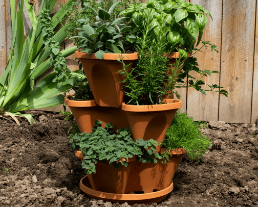 Garden Kits cover photo collage