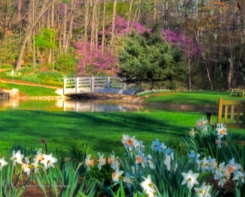 Opportunities in Harrisonburg VA from a JMU student cover photo collage