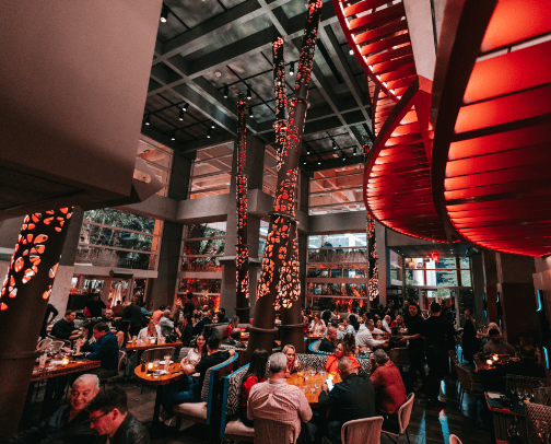 Miami Restaurants cover photo collage