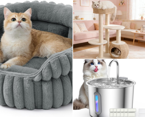 My Cats’ Everyday Essentials, cover photo collage