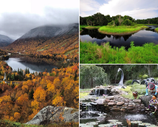 Go outside. Here's some cool places we've been cover photo collage