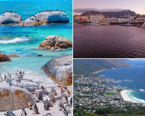 South Africa Travel Bucket List 🇿🇦 | Best Places to Visit cover photo collage