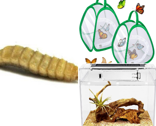 Animal supplies cover photo collage