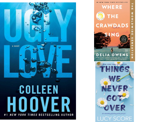 Fast Reads You Can’t Put Down cover photo collage