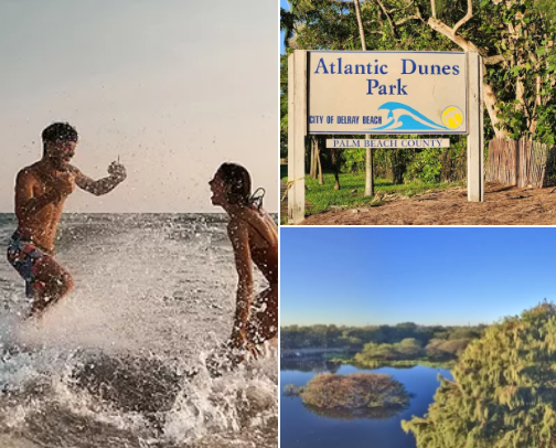 Top Things to Do in South Florida: Your Ultimate Local Guide cover photo collage